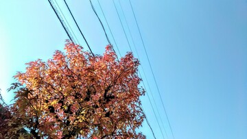 自分軸がない、何をどうしたら良いかわからない、そんな人こそ、今すぐ部屋を片づけてみよう！　2016年12月公開記事｜きらぼしstudy online